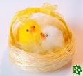 Kuřátka v hnízdě - žlutá