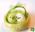 Kuřátka v hnízdě - zelená