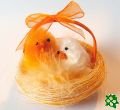 Kuřátka v hnízdě - oranžová