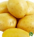 Anuschka, sadbové brambory, velmi raná odrůda (varný typ AB)