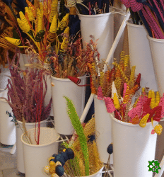 Sušina, sušené květiny a dekorace pro aranžování a floristiku